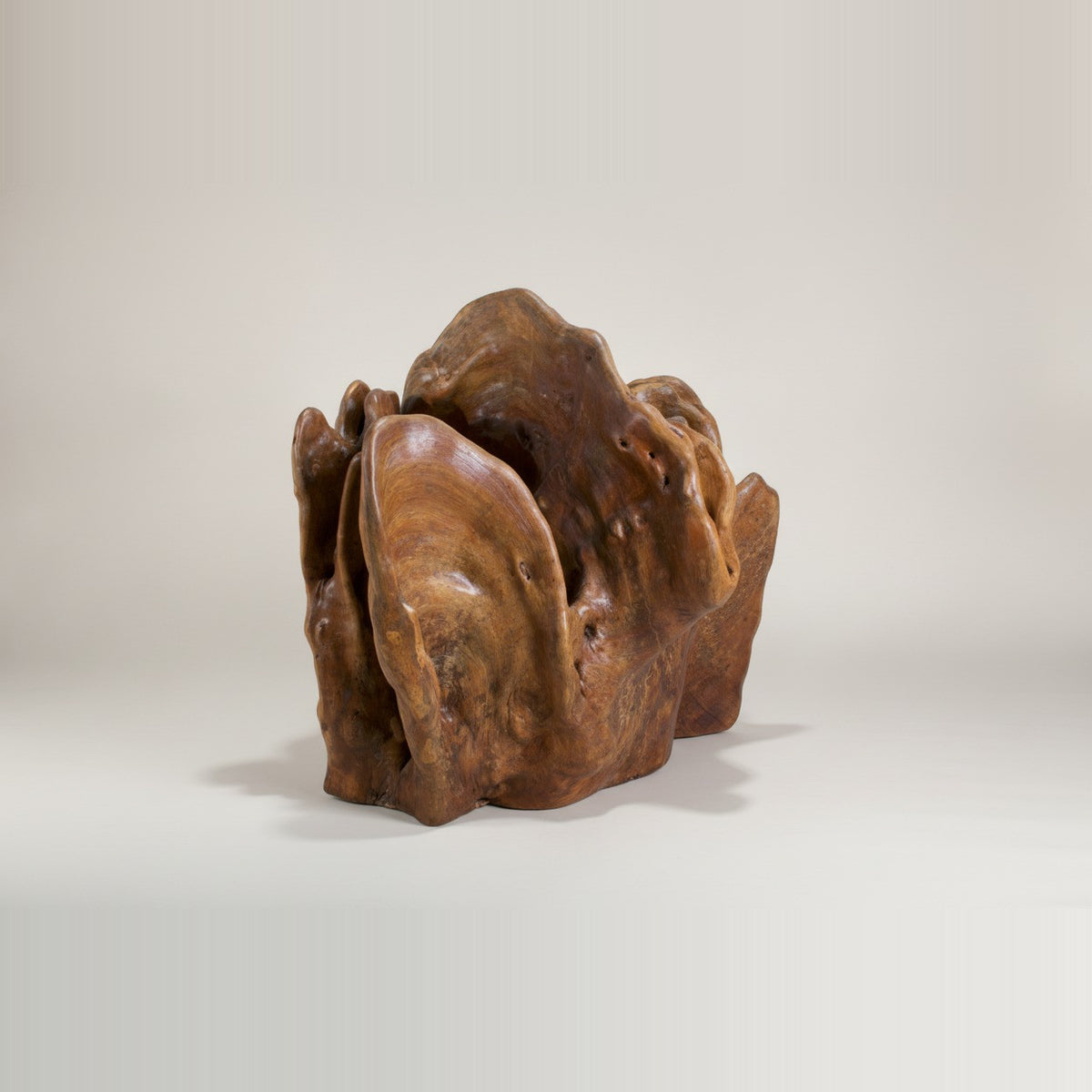 ESCULTURA ANOMALIA