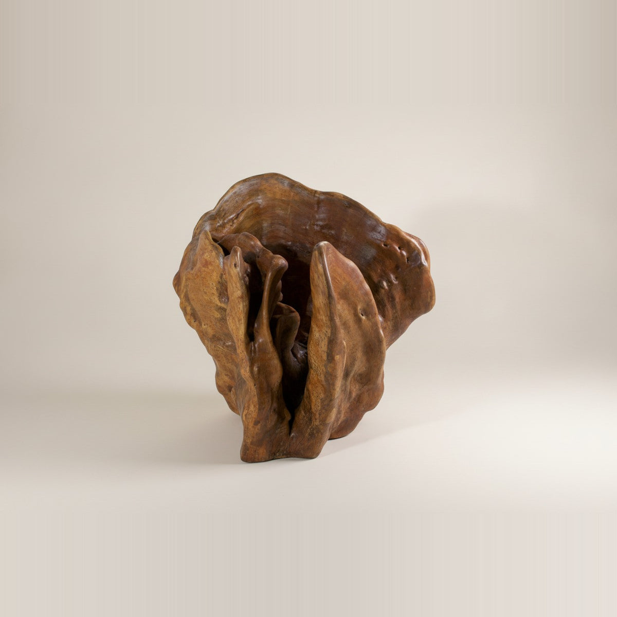 ESCULTURA ANOMALIA