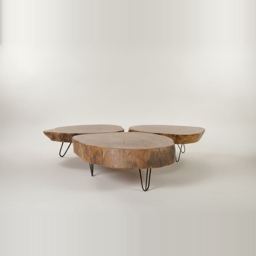 MESA VITÓRIA RÉGIA